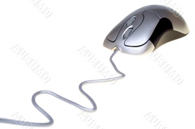 Computer mouse