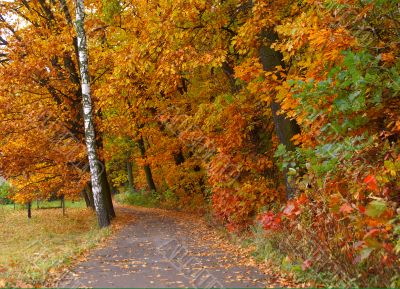 Fall way
