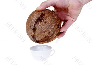 Pour in coconut milk