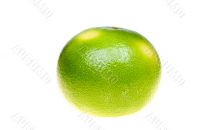 Green grapefruit