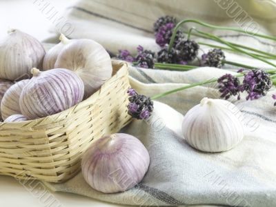 Purple Garlic