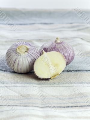 Purple Garlic