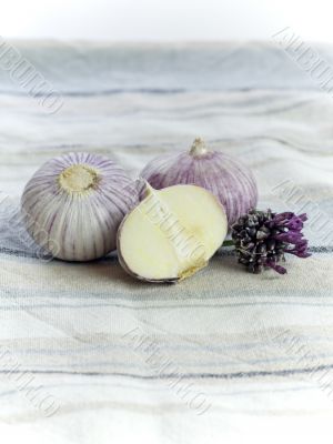 Purple Garlic