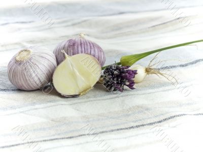 Purple Garlic