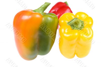 Colorful paprika