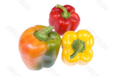 Colorful paprika