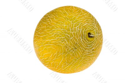 Fresh yellow melon