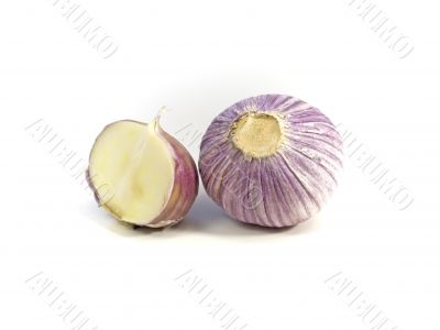 Purple Garlic