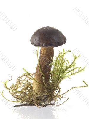 mushrooms