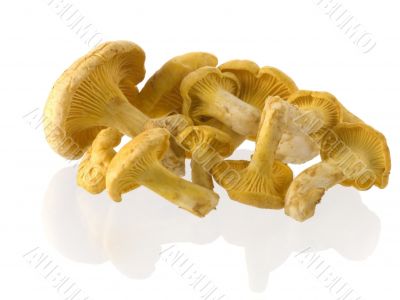 mushrooms