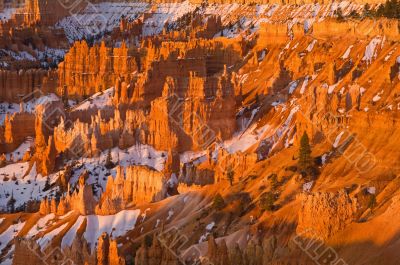 Sunrise Bryce Canyon