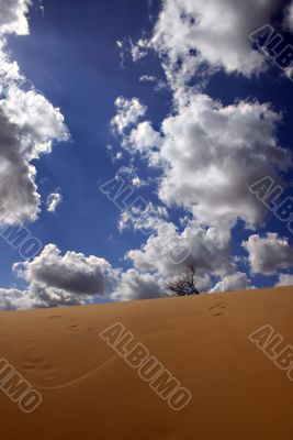 In dune