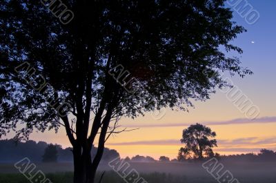 Sunrise Al Sabo Meadow