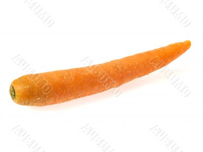 Carrot