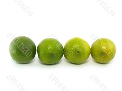 Four limes