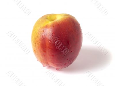Nectarine