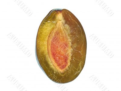 Halh of plum