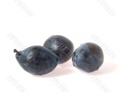 Plums