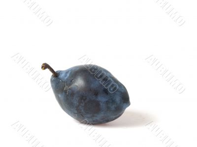 One plum