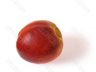 Nectarine