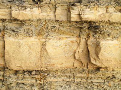 Shale rock texture