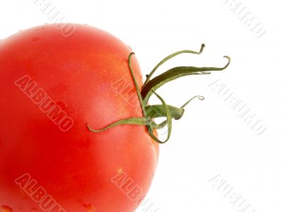 Macro one tomato