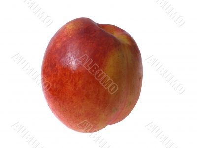 Nectarine