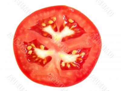 Slice of tomato