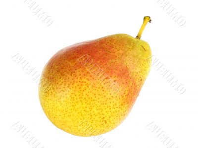 One pear