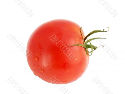One tomato
