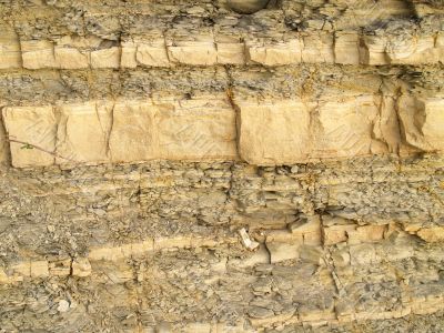Shale rock texture