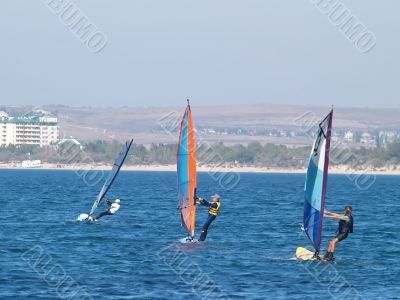 Sailboat