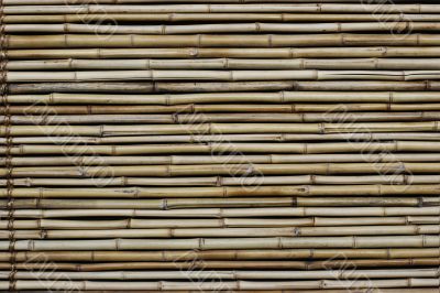 bamboo wall