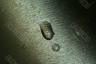 drops macro