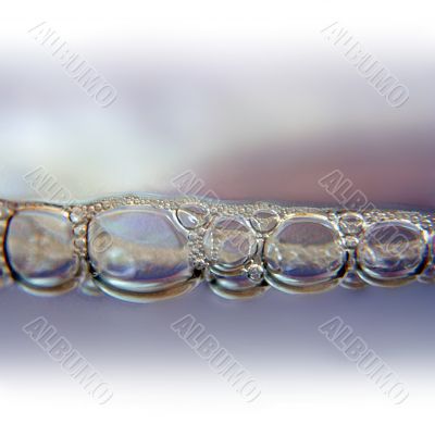 drops line