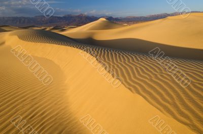 Sand Dunes Death Valley
