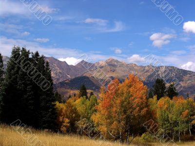 Fall Colors