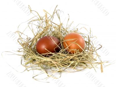 eggs