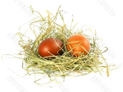 eggs