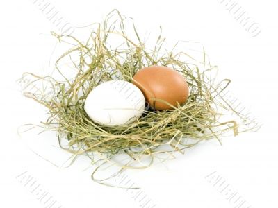 eggs