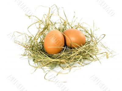 eggs