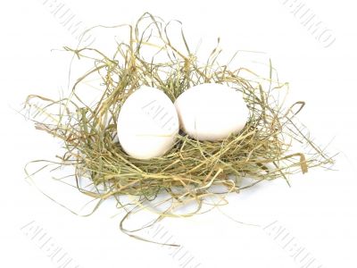 eggs