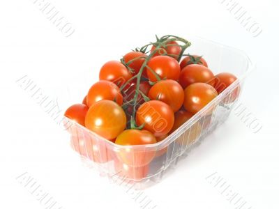 tomatoes