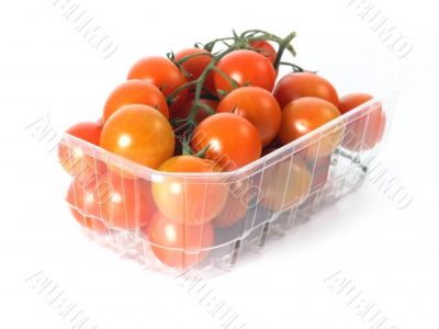 tomatoes