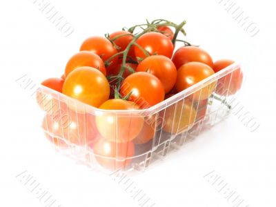 tomatoes