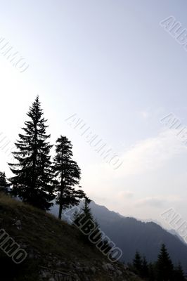 Green hill with blue sky