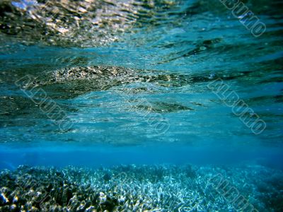underwater scape