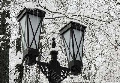 Snow - a lantern - an icicle.