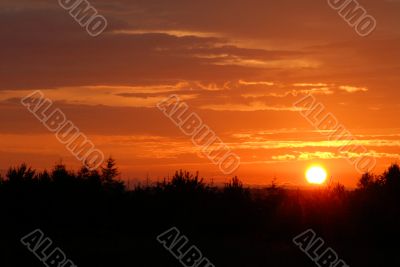 sunset sky over the forest