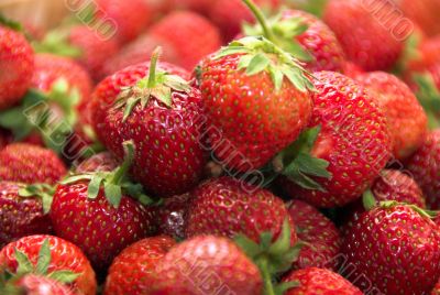 strawberries